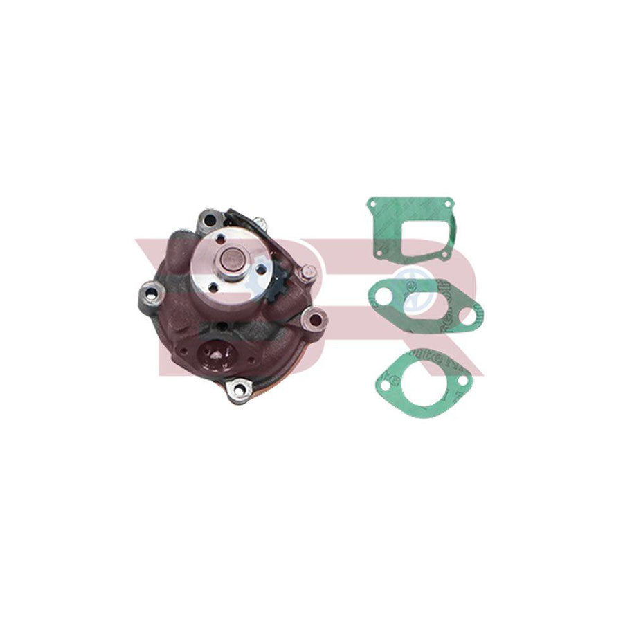 Botto Ricambi Brac1101 Water Pump