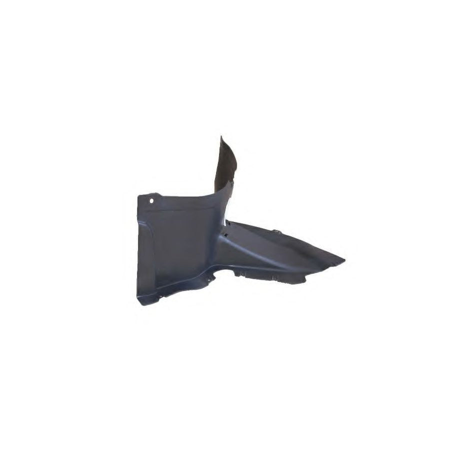 Bugiad BSP21562 Panelling, Mudguard For Vw Passat