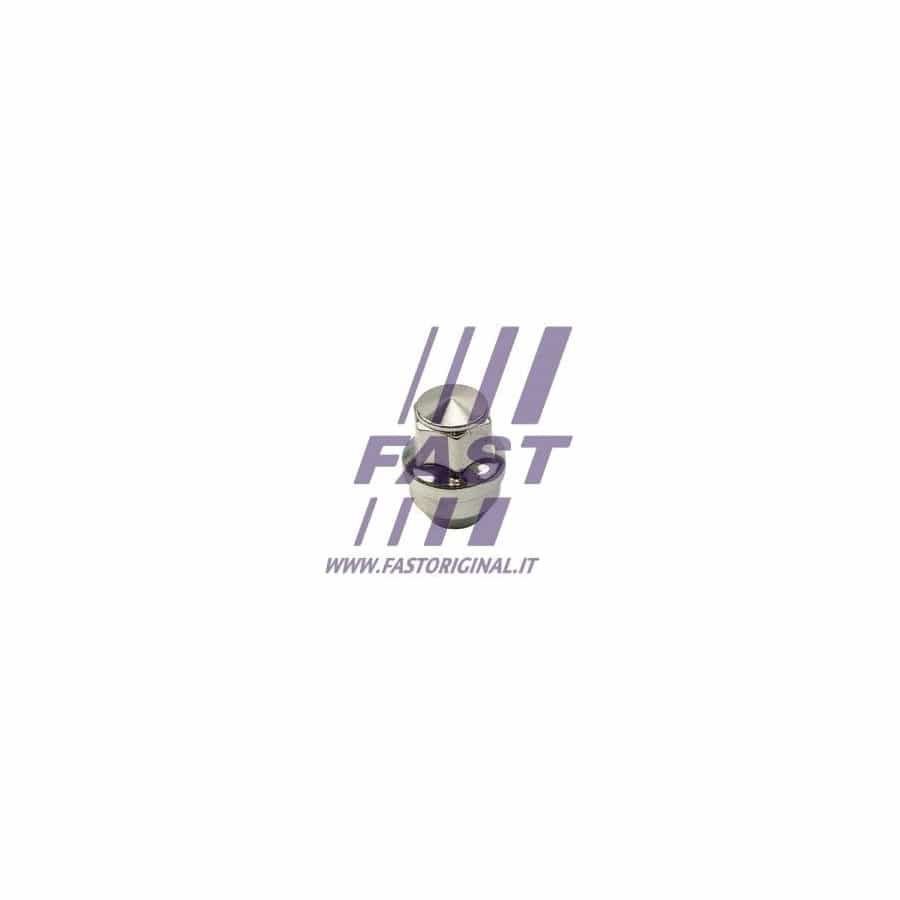 FAST FT21601 Wheel Nut