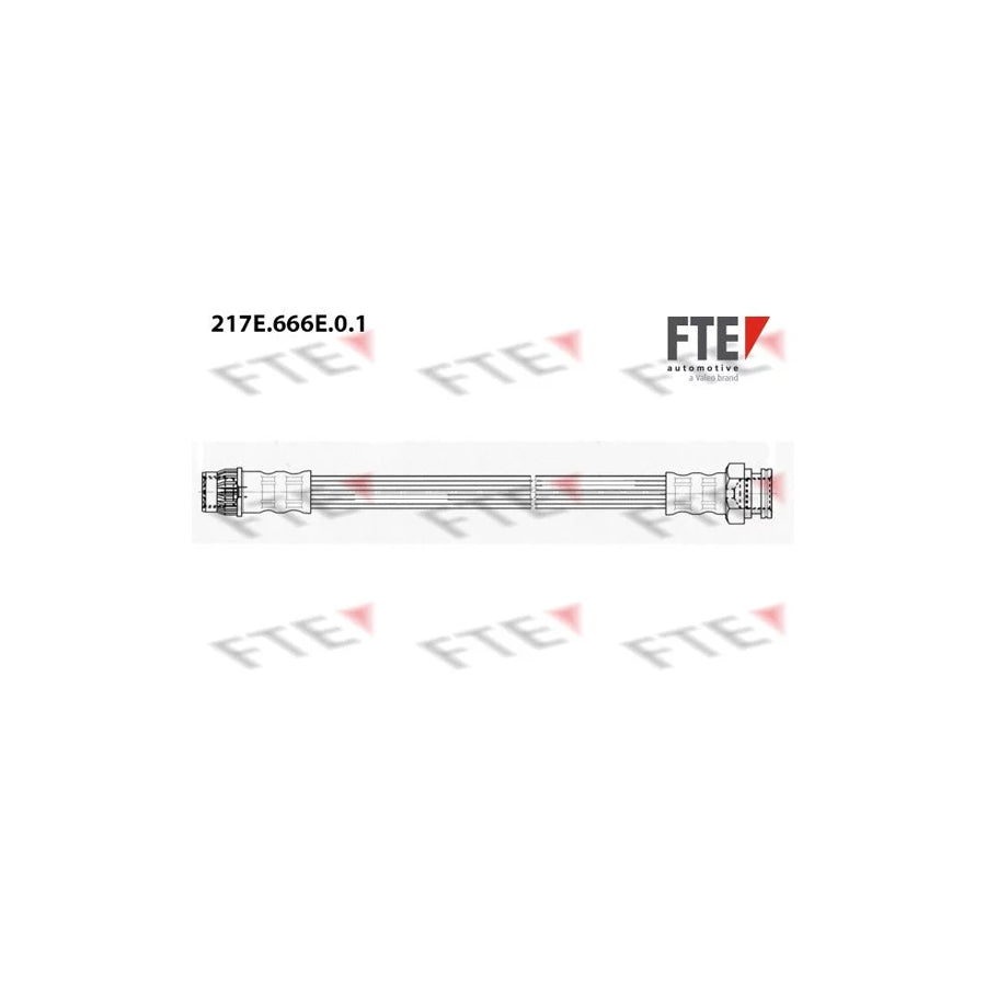 FTE 217E.666E.0.1 Brake Hose