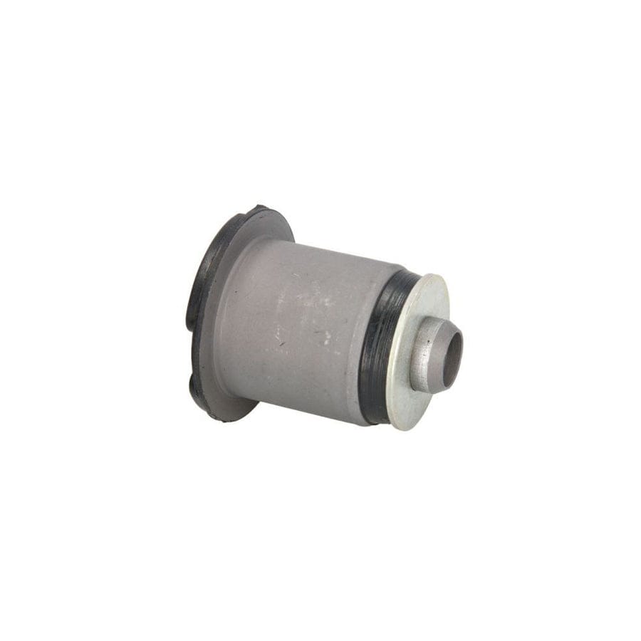 Reinhoch Rh11-2162 Mounting, Axle Bracket