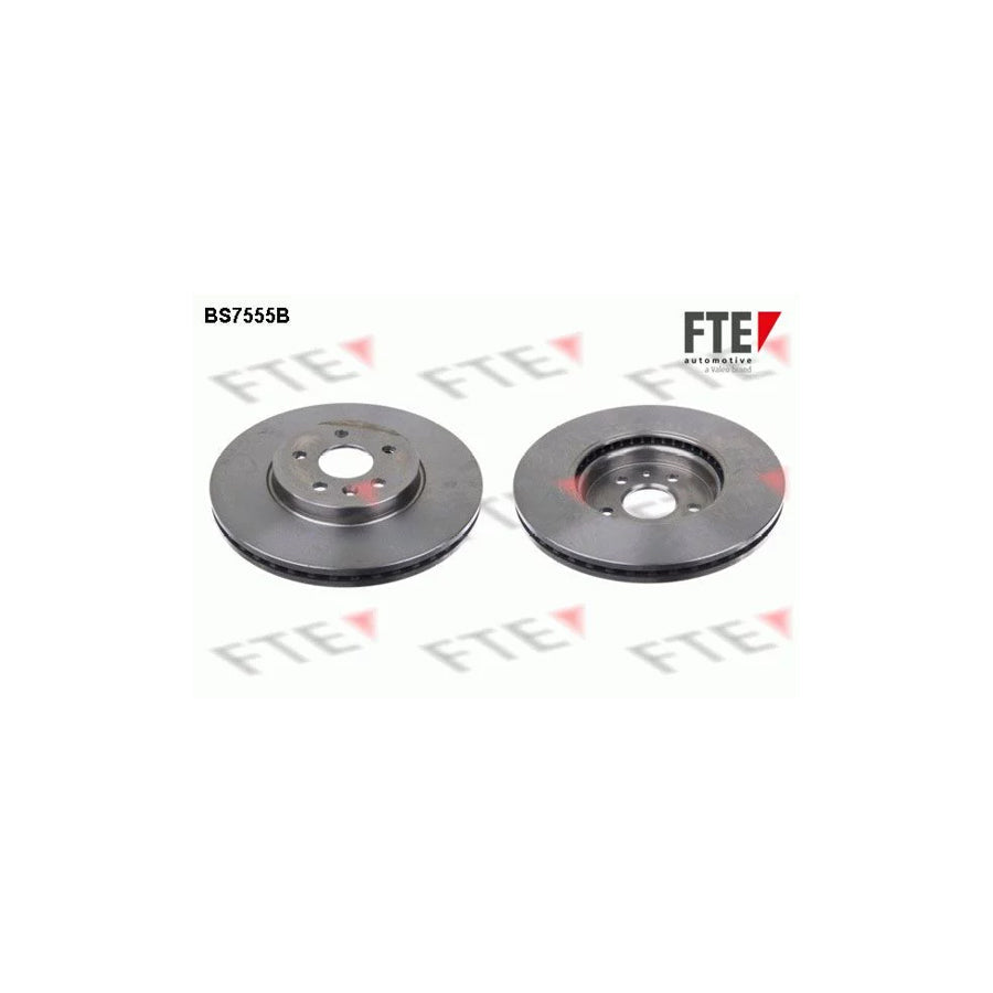 FTE 9081140 Brake Disc