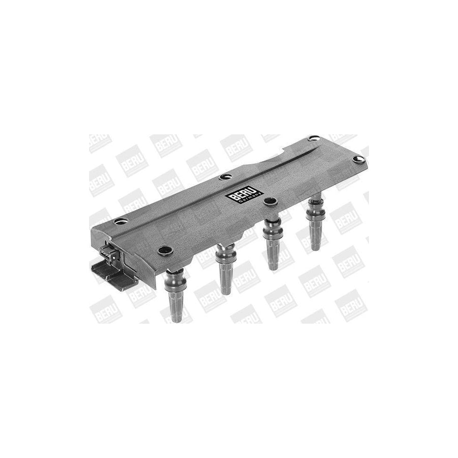 Beru Zs256 Ignition Coil