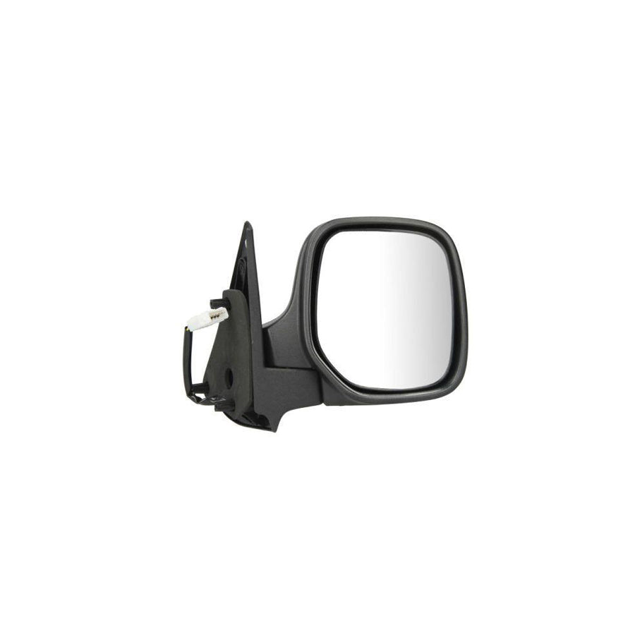 Blic 5402-04-9228972 Wing Mirror