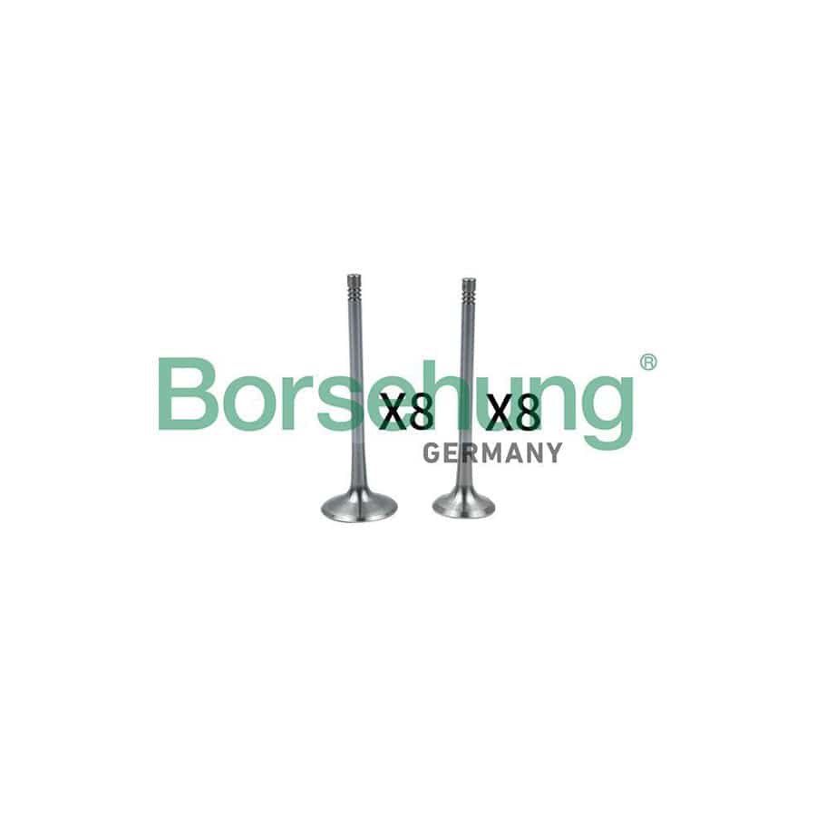 Borsehung B18637 Inlet Valve