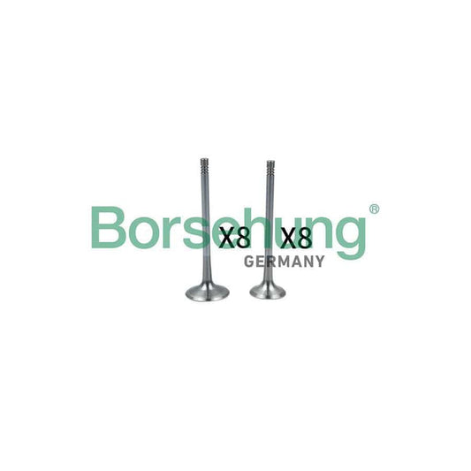 Borsehung B18637 Inlet Valve