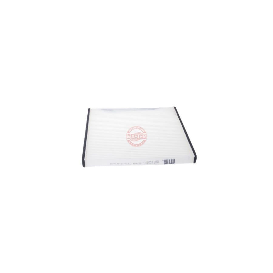 Master Sport 2131-IF-PCS-MS Pollen Filter