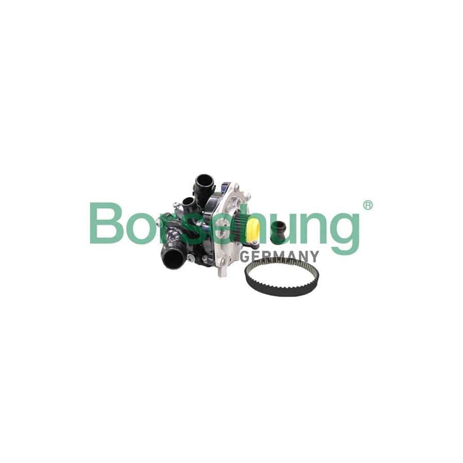 Borsehung B11210 Water Pump