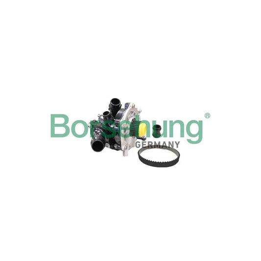 Borsehung B11210 Water Pump