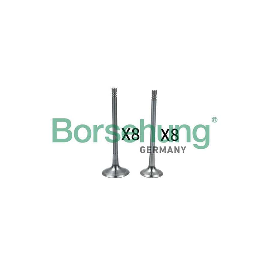 Borsehung B18634 Inlet Valve