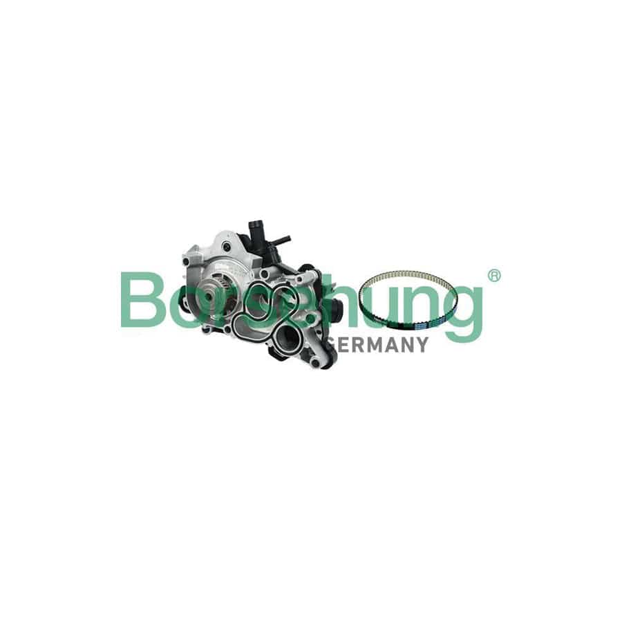 Borsehung B11208 Water Pump