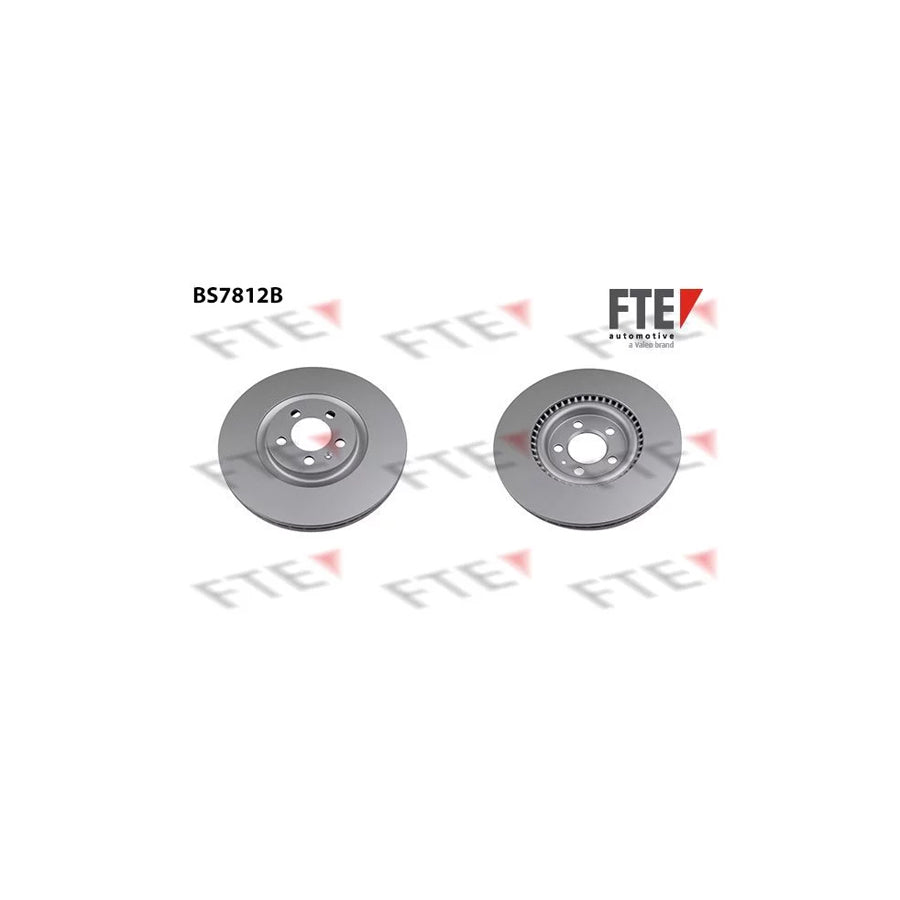 FTE 9081163 Brake Disc
