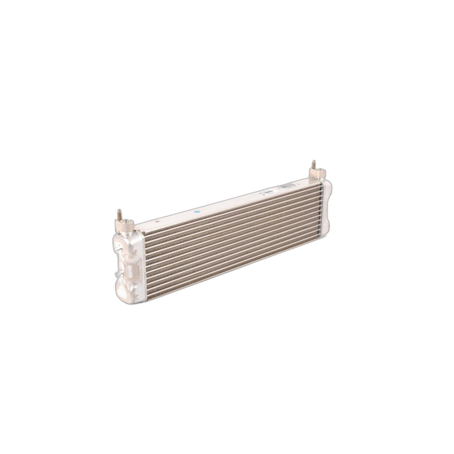 Genuine BMW 17212284260 F13 G15 Auxiliary Radiator (Inc. M6, M5 & M850iX)