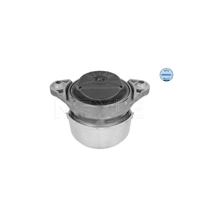 Meyle 014 024 0169 Engine Mount