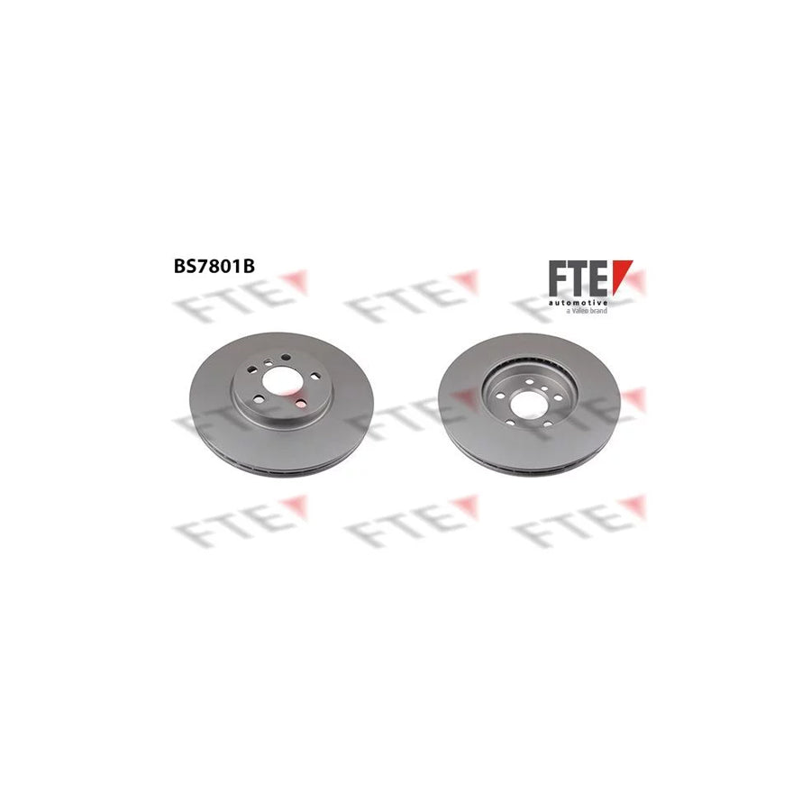 FTE 9081162 Brake Disc