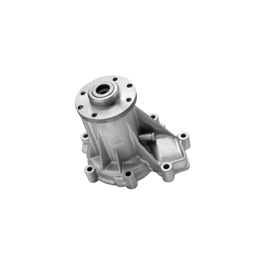 Denckermann A310243P Water Pump
