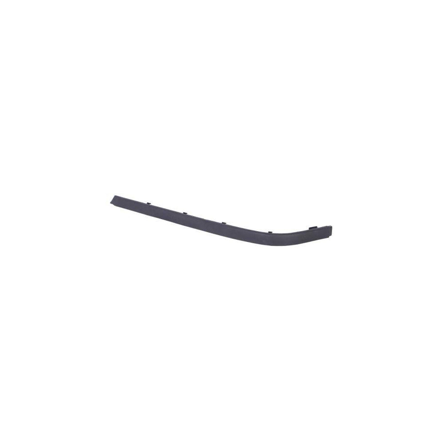 Blic 5703-05-0065974P Bumper Moulding For BMW 5 Series