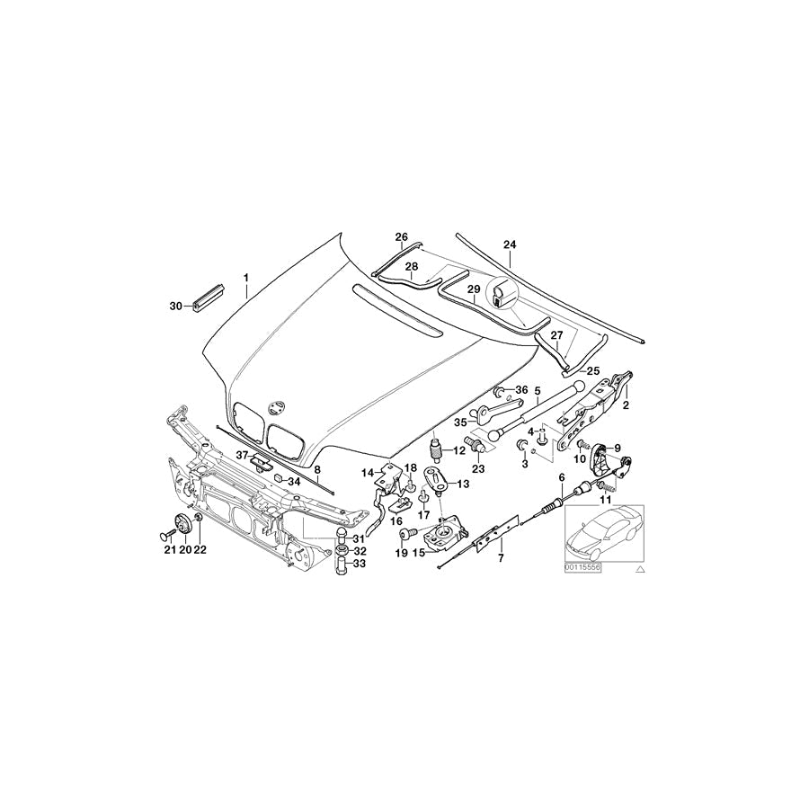 Genuine BMW 41618238461 E46 Hood (Inc. 320i, 318i & 328i) | ML Performance US Car Parts