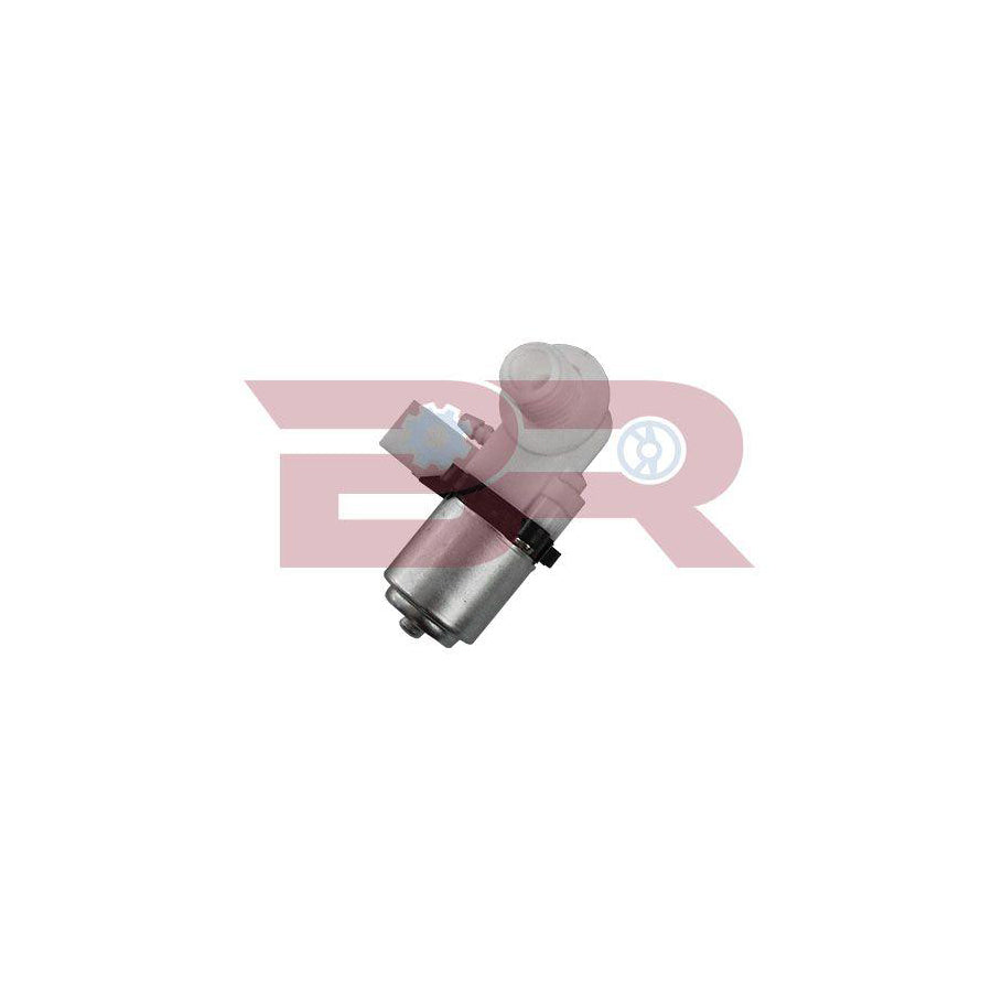 Botto Ricambi Brac2487 Water Pump, Window Cleaning