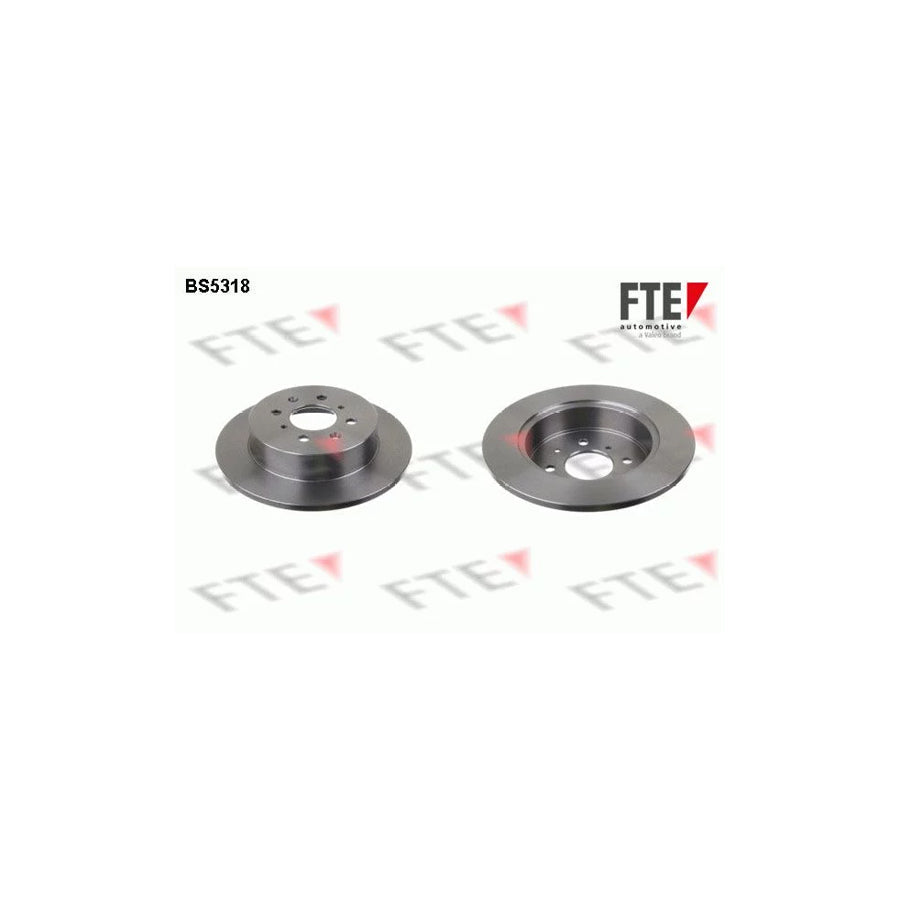 FTE Bs5318 Brake Disc
