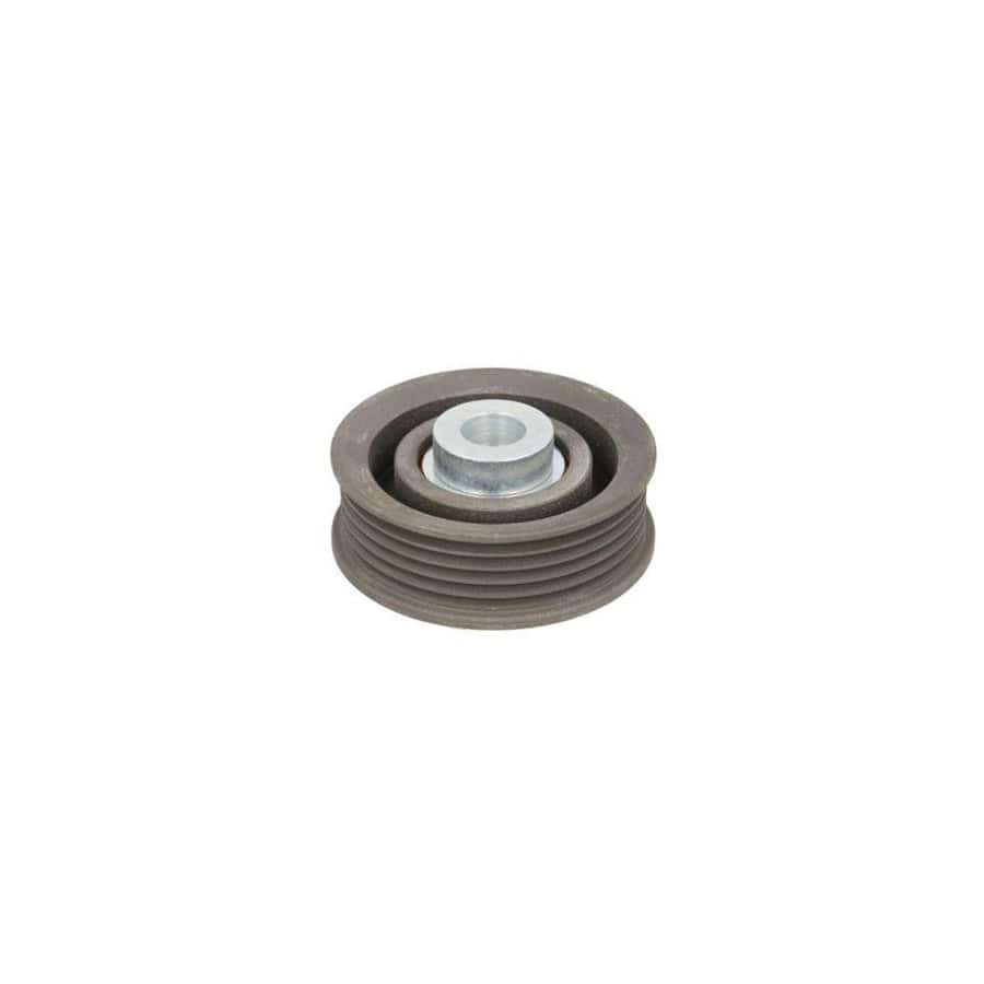 BTA E25016BTA Tensioner Pulley