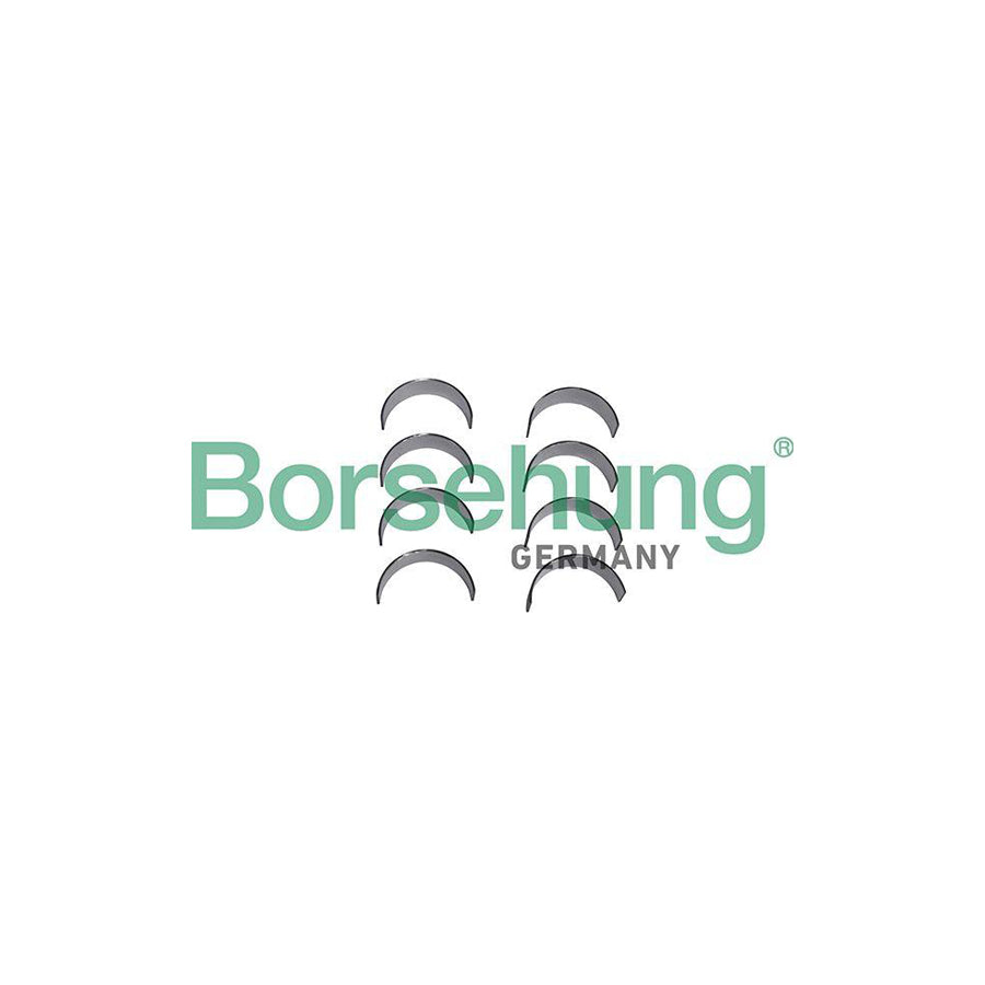 Borsehung B11330 Big End Bearings