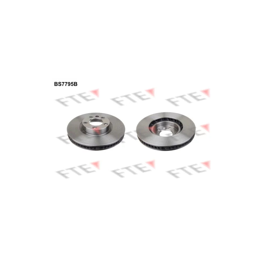 FTE 9081156 Brake Disc