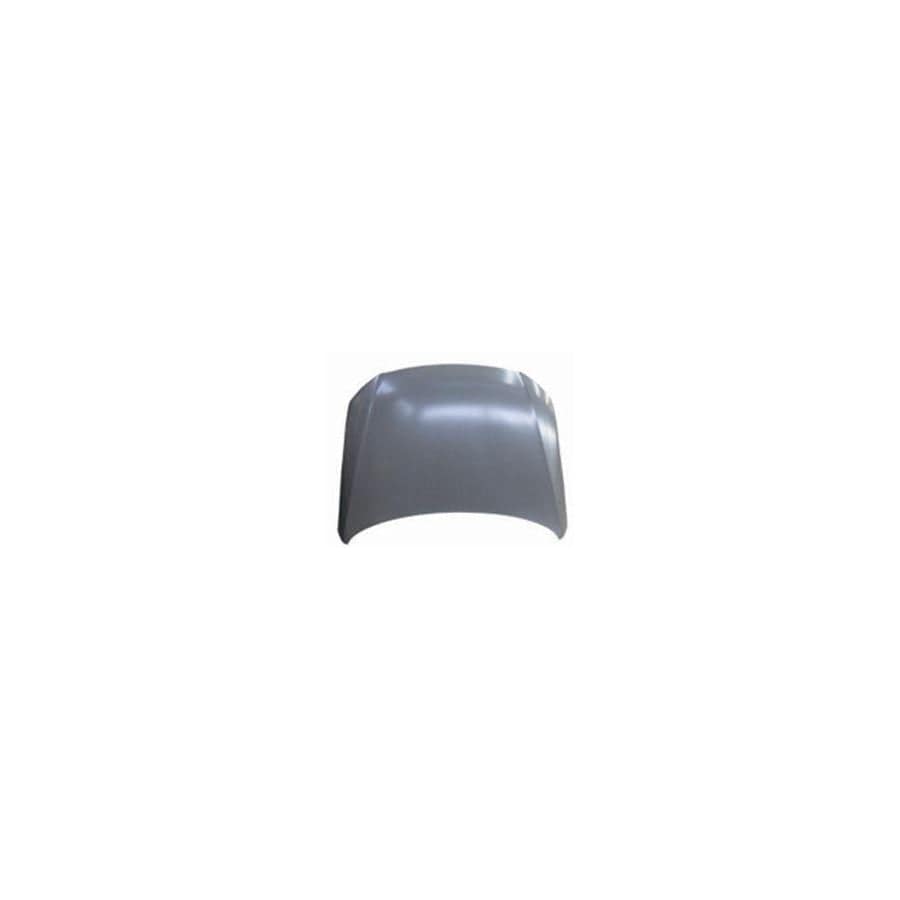 Abakus 05322100 Bonnet for VW Passat