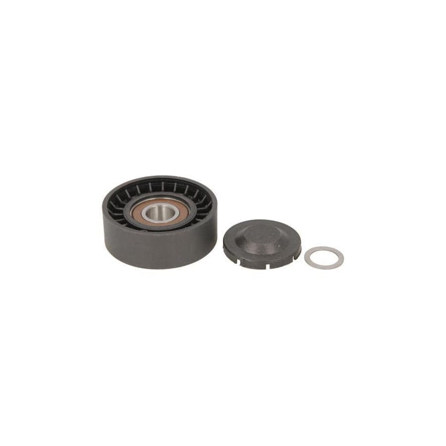 BTA E25010BTA Tensioner Lever, V-Ribbed Belt
