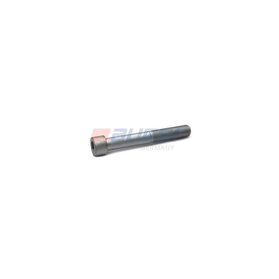 Auger 84898 Screw