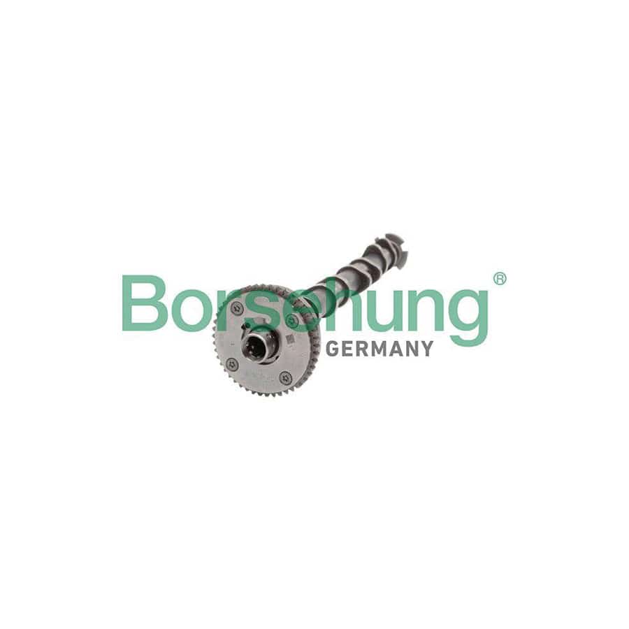 Borsehung B11319 Camshaft