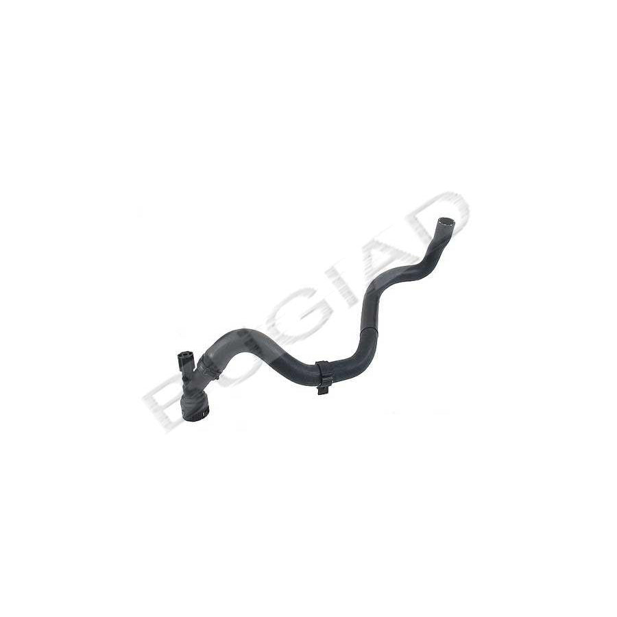 BUGIAD Bsp23377 Radiator Hose