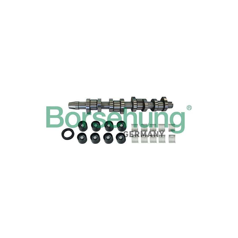 Borsehung B11307 Camshaft Kit