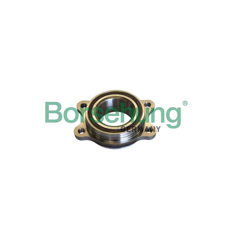 Borsehung B11292 Wheel Bearing Kit
