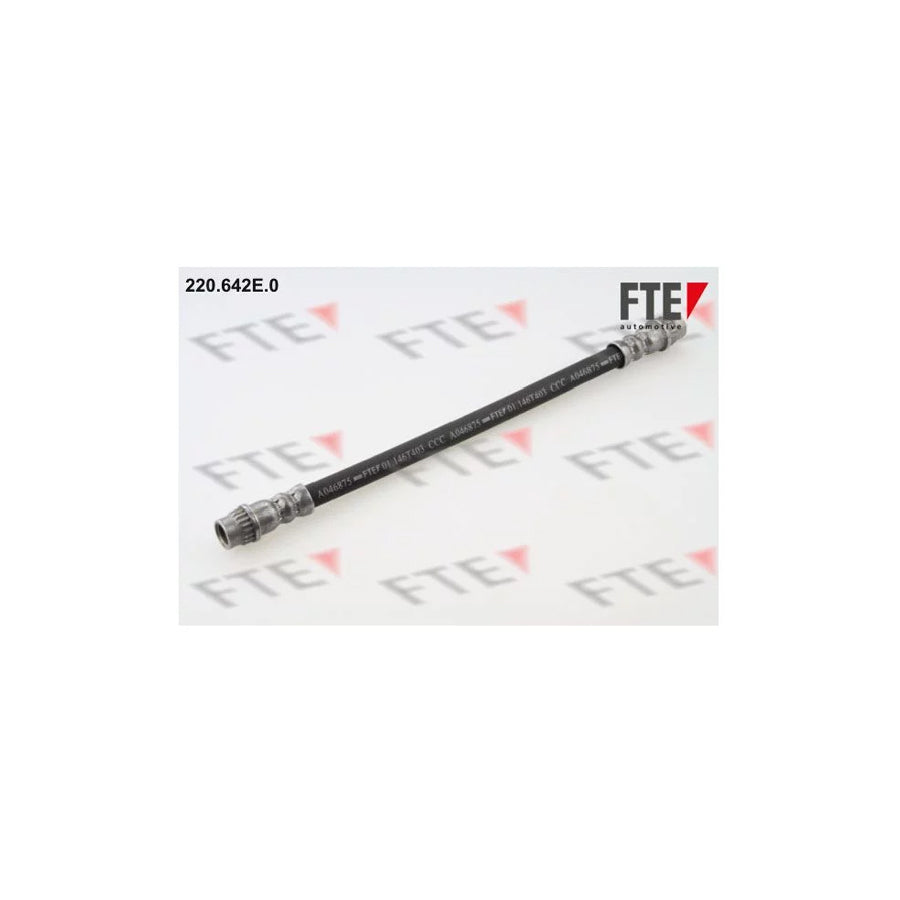 FTE 220.642E.0 Brake Hose