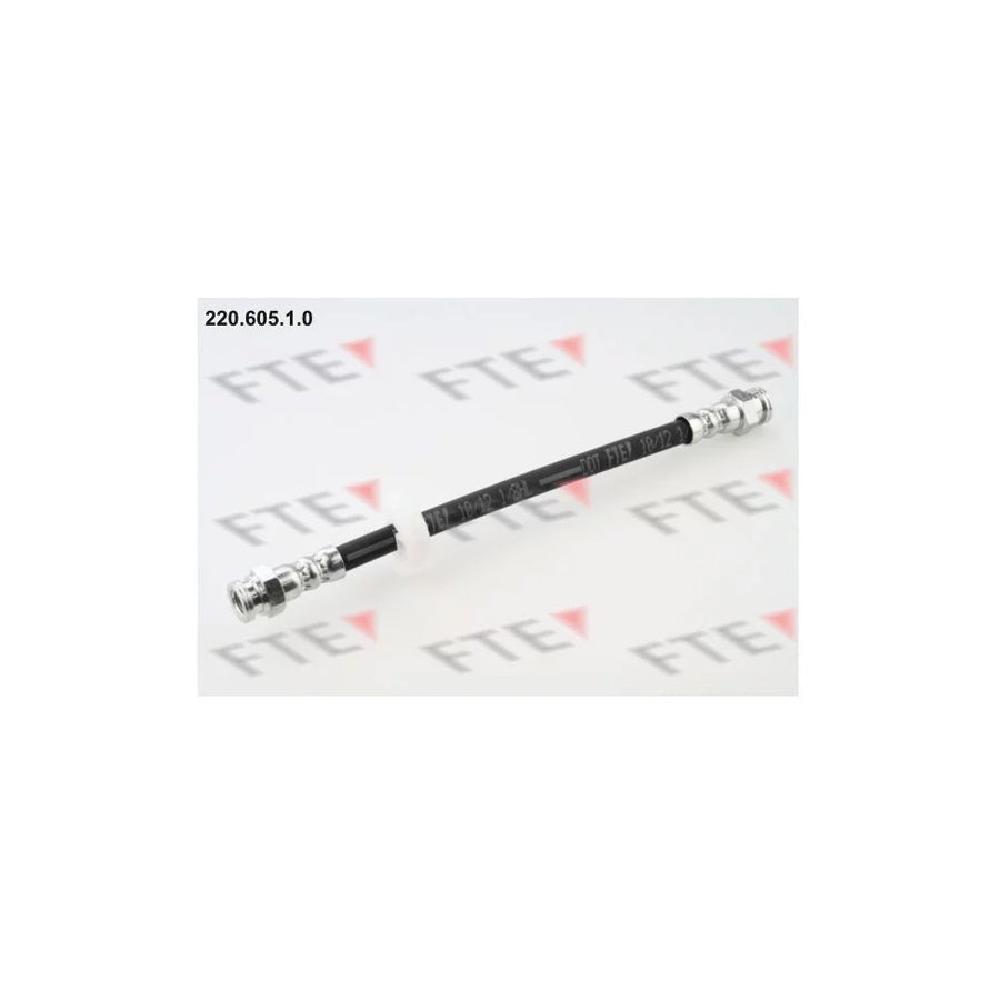 FTE 220.605.1.0 Brake Hose