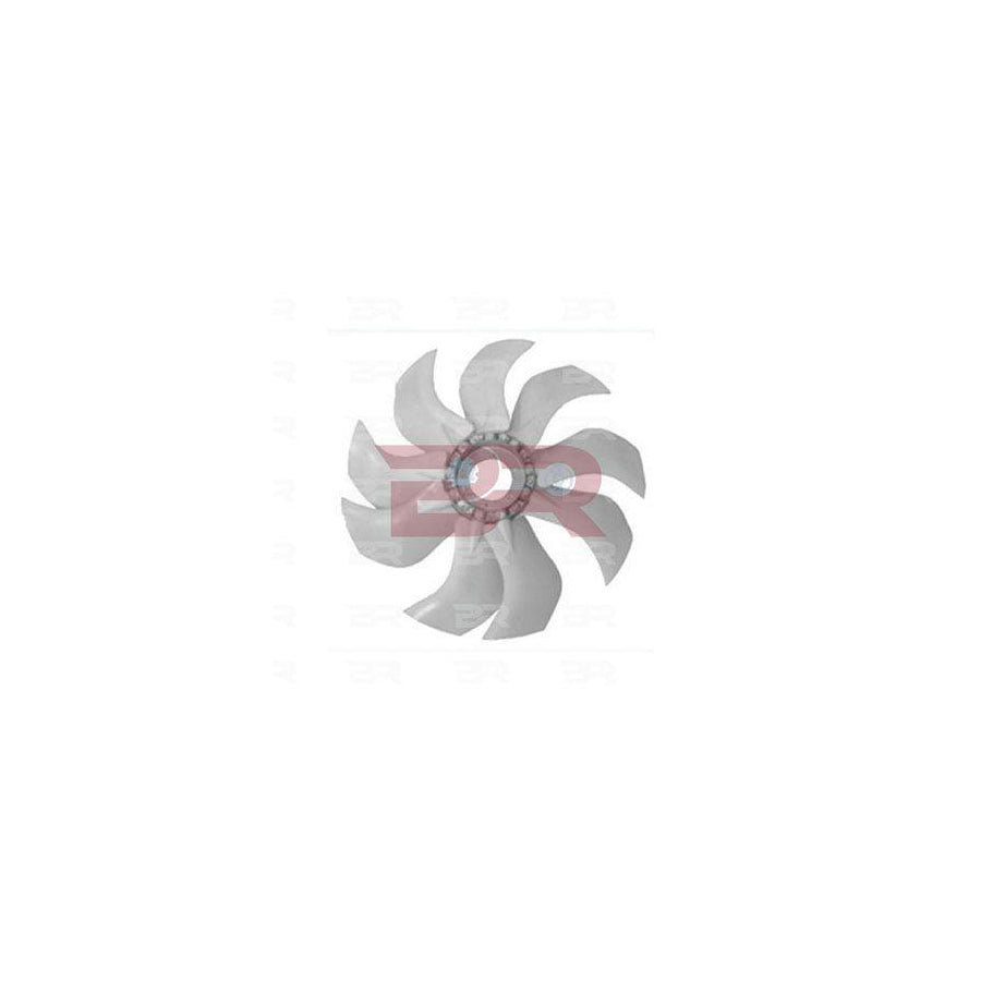 Botto Ricambi Brac3779 Fan, Radiator