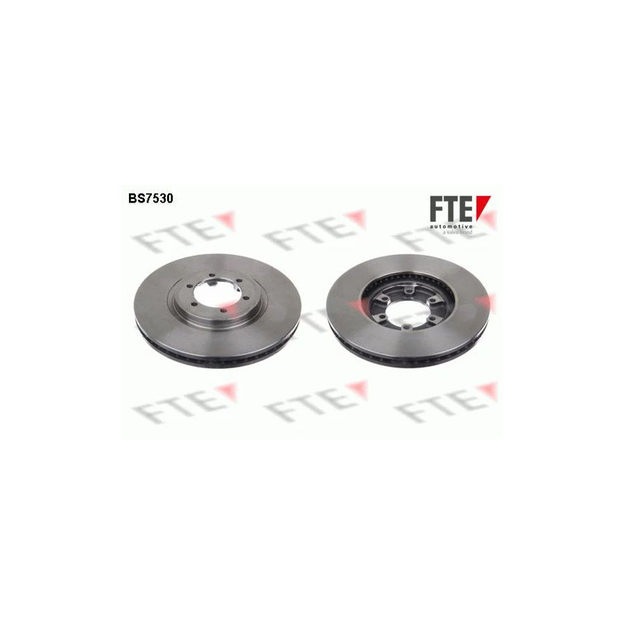 FTE Bs7530 Brake Disc for Hyundai Terracan (Hp)