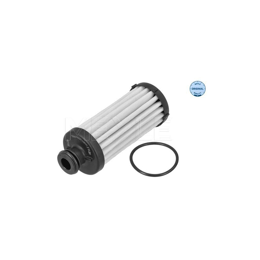 Meyle 100 199 1020 Engine Mount