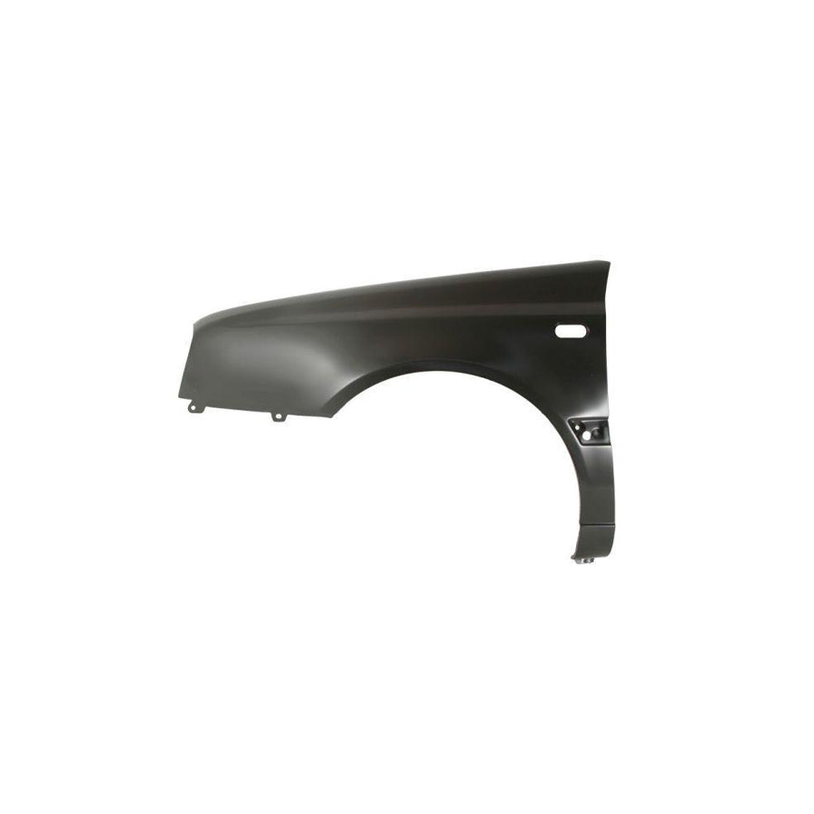 Blic 6504-04-9542313P Wing Fender