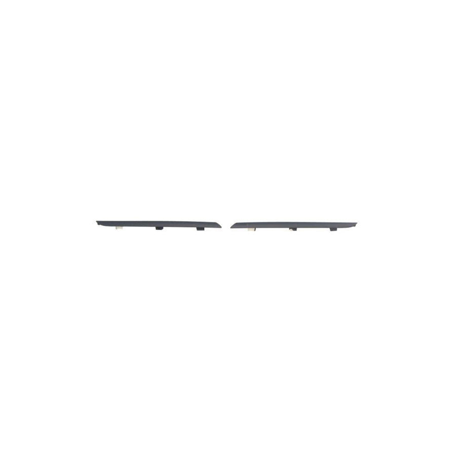 Blic 6502-07-6034992Q Trim / Protective Strip, Radiator Grille For Renault Clio