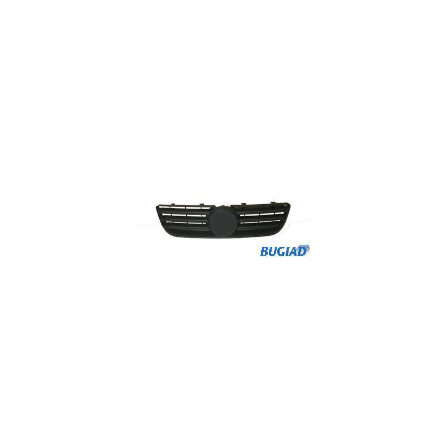 BUGIAD Bsp20209 Radiator Grille for VW Polo IV Hatchback (9N)