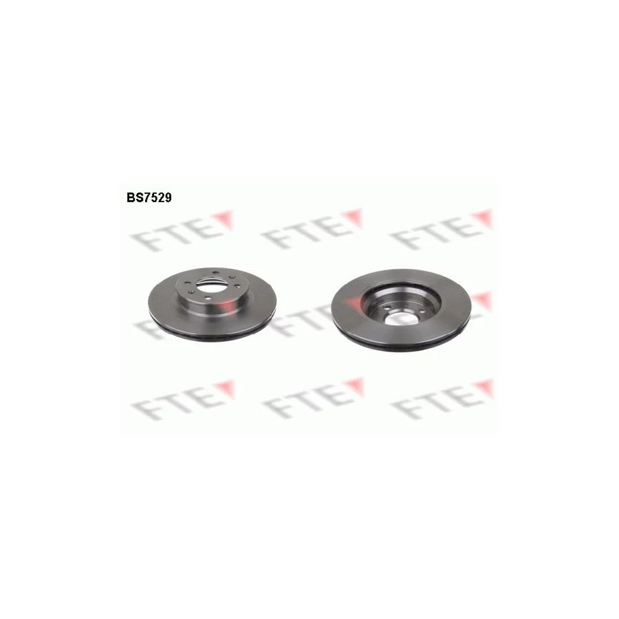 FTE Bs7529 Brake Disc for Hyundai I20 I Hatchback (Pb)