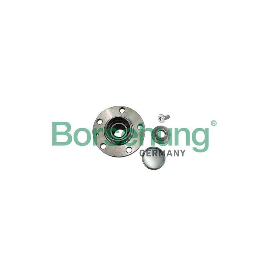 Borsehung B11289 Wheel Bearing Kit