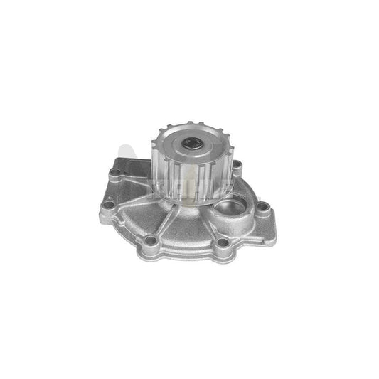 MAHLE ORIGINAL CP 224 000S Water Pump Teeth Quant.: 14 | ML Performance Car Parts