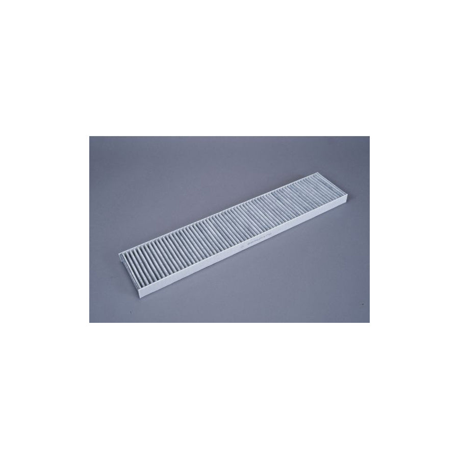 AUTOMEGA 180005910 Pollen Filter