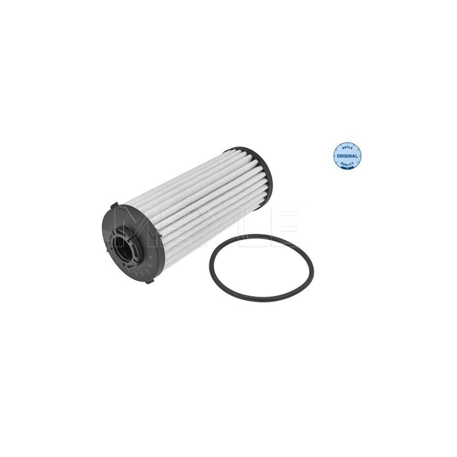 Meyle 100 136 1011 Hydraulic Filter, Automatic Transmission