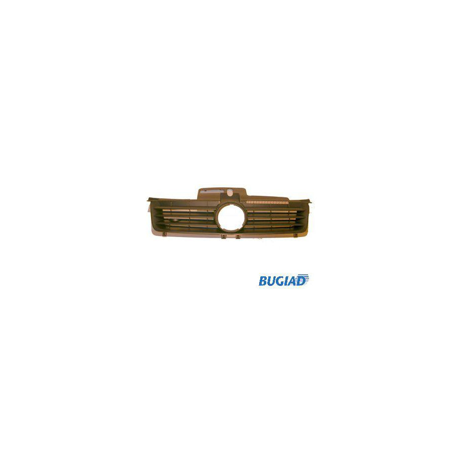 BUGIAD Bsp20205 Radiator Grille for VW Polo IV Hatchback (9N)