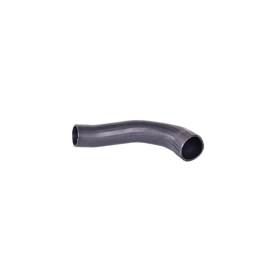 BUGIAD 88550 Charger Intake Hose