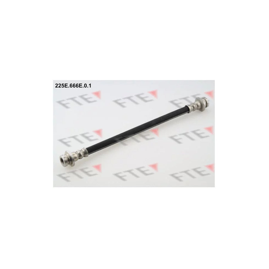 FTE 225E.666E.0.1 Brake Hose